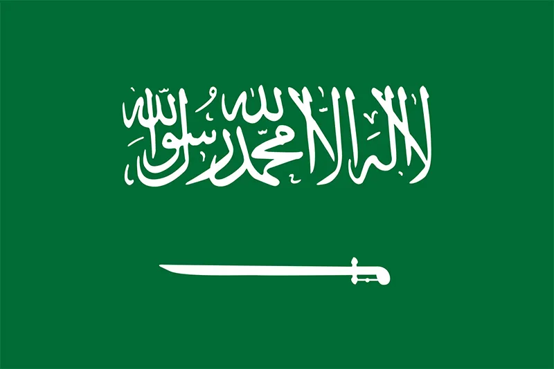  Saudia